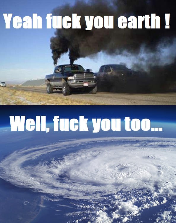 THLKJY.jpg