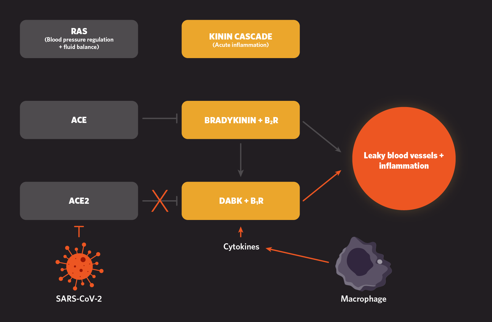ts_diagramnews-v4.png
