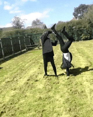 you-play-stupid-games-you-win-stupid-fing-prizes-15-gifs-9.gif