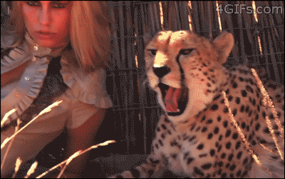 tumblr_mrm34nZqWv1rhi0rbo1_400.gif