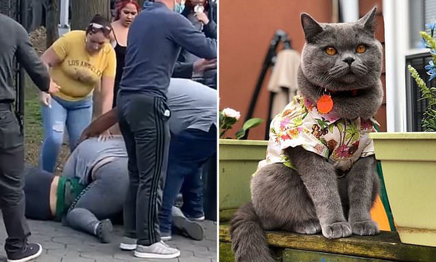 www.dailymail.co.uk