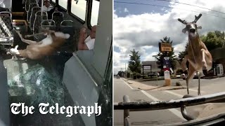 www.telegraph.co.uk