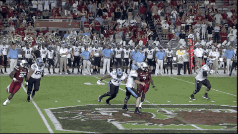 cut2_original.gif