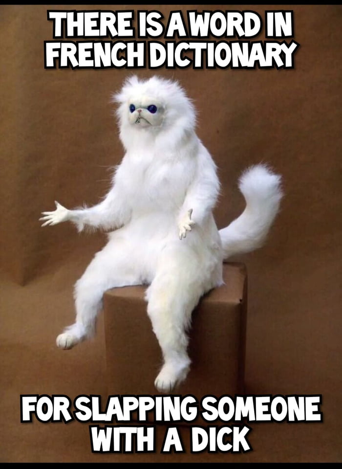 aBmz5Ax_700b.jpg