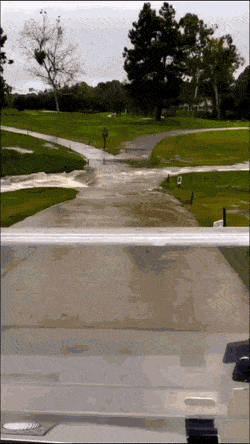 ShortMonth7161.gif