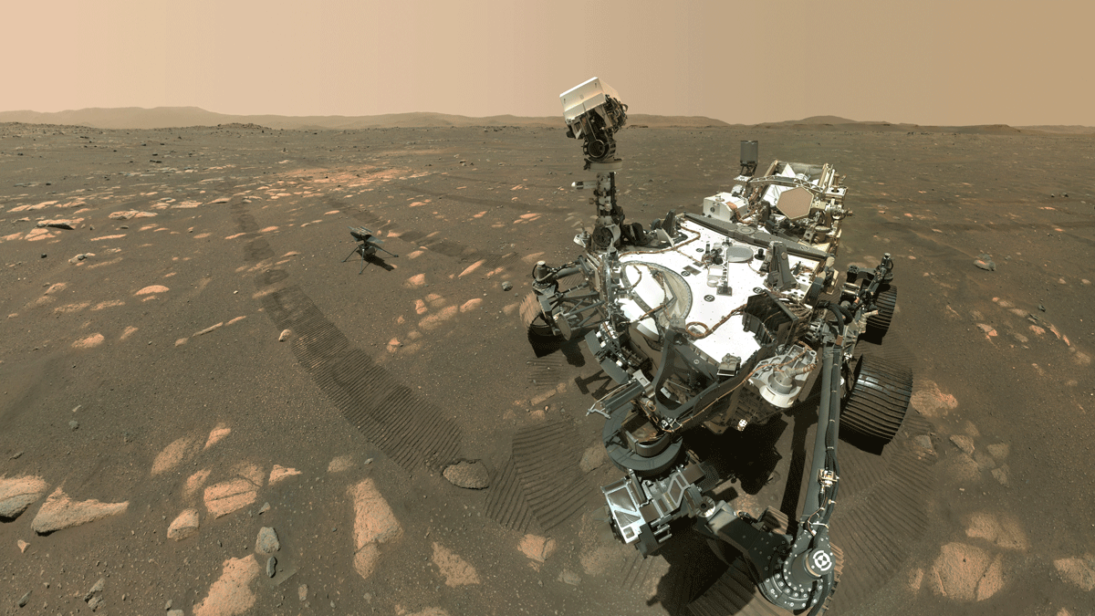 8912_25790_First_selfie-1200.gif