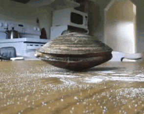 giphy.gif