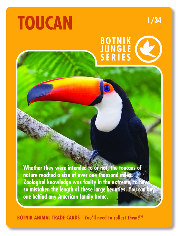 toucan.jpg