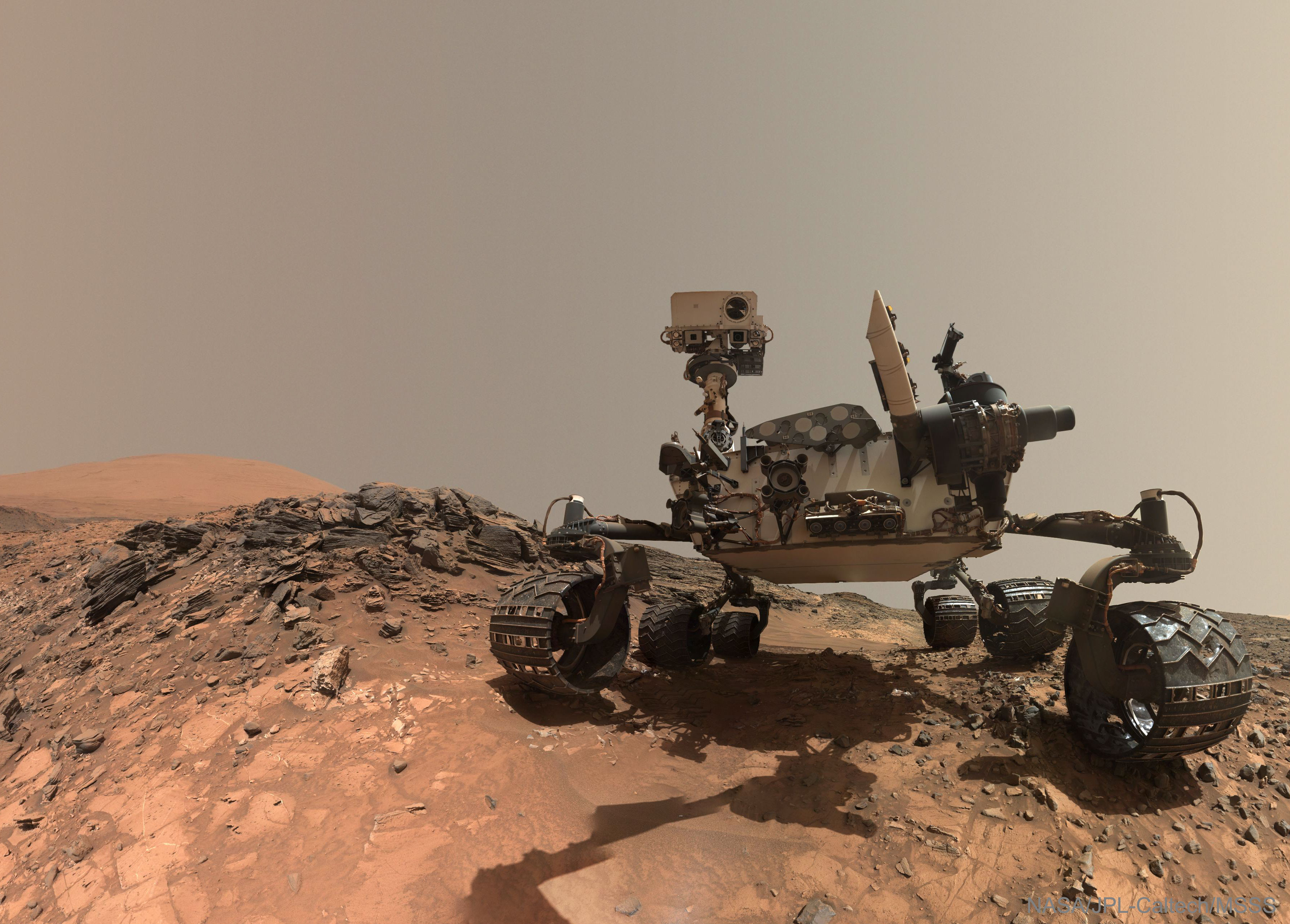 Selfie_Curiosity_3577.jpg