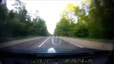 TIGEKc.gif