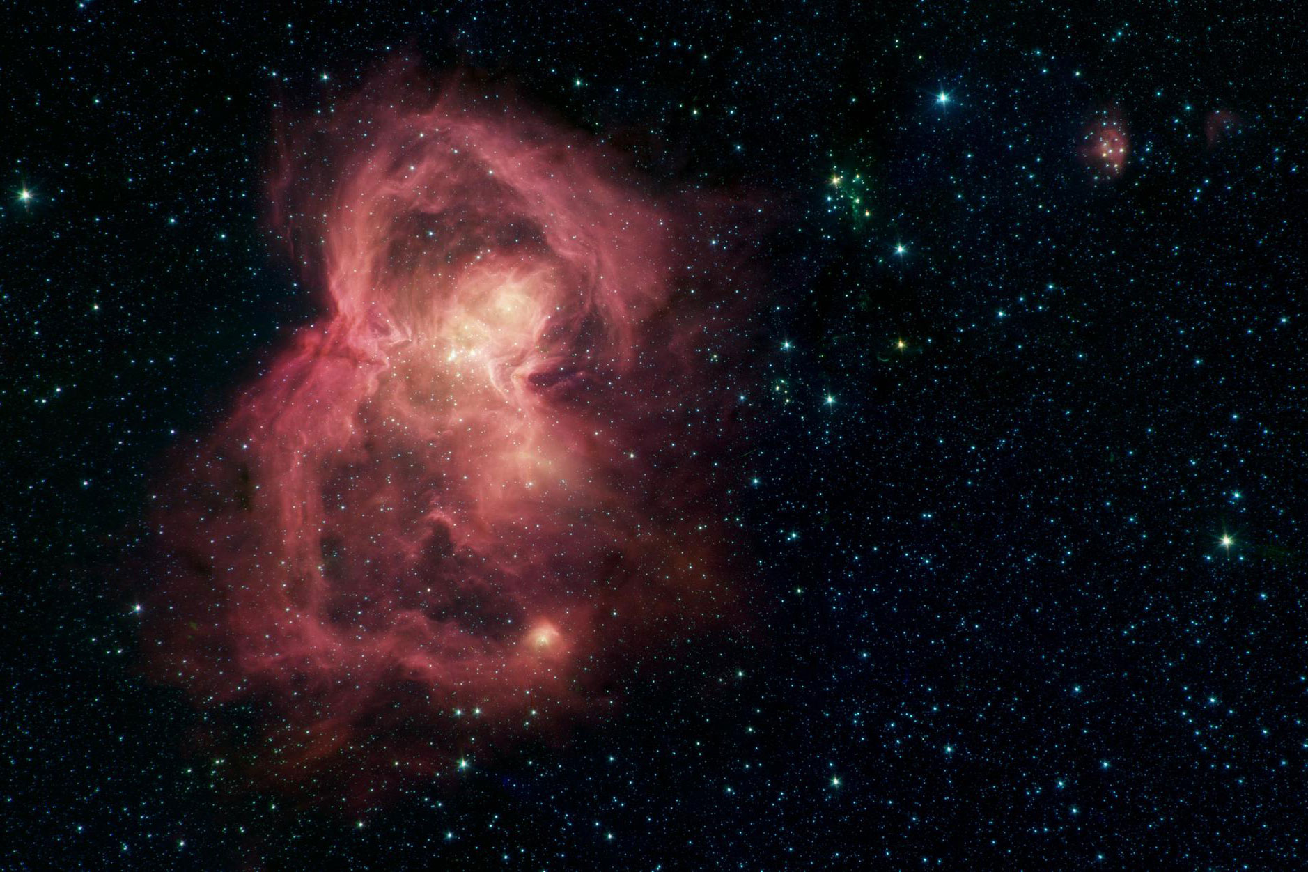 www.newscientist.com