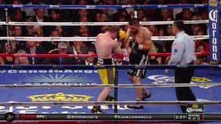 Canelo_10.gif