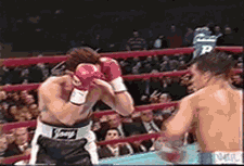 83267302.gif