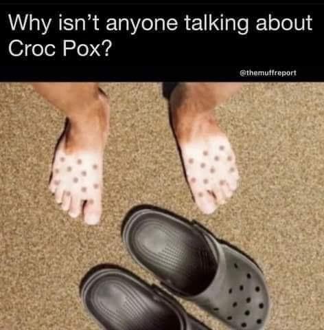 tXGypORRaYxM.jpeg