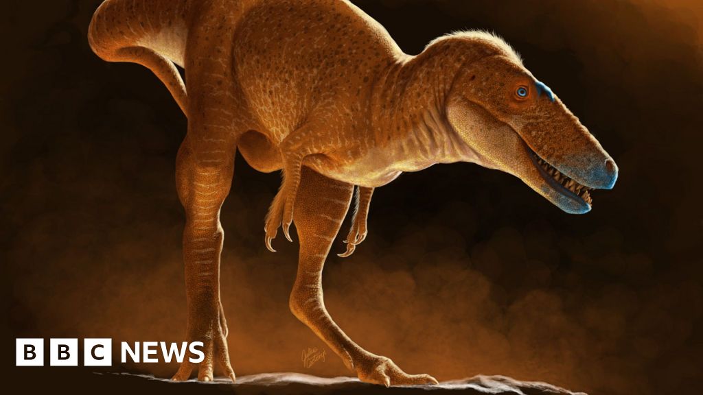 www.bbc.com