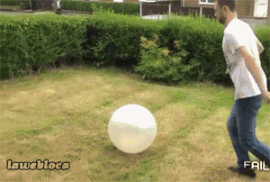 tumblr_mwf5n0xqIG1s2gg27o1_400.gif