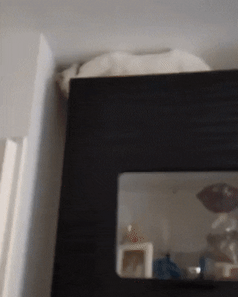 remember-december-12.gif