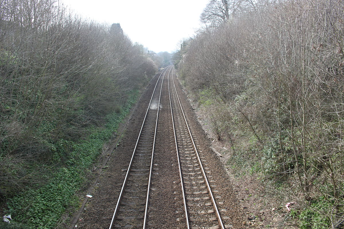 1200px-Godminster_Lane_Quarry_and_Railway_Cutting.JPG