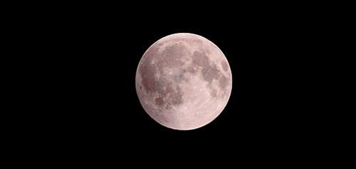 711ea55c740a17a7b80478c3c0ea461e.gif