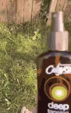 what-a-year-this-week-has-been-13.gif