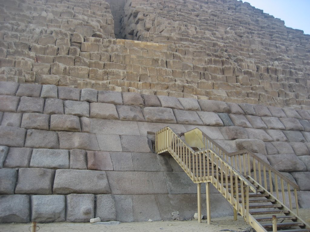 7325829.jpg