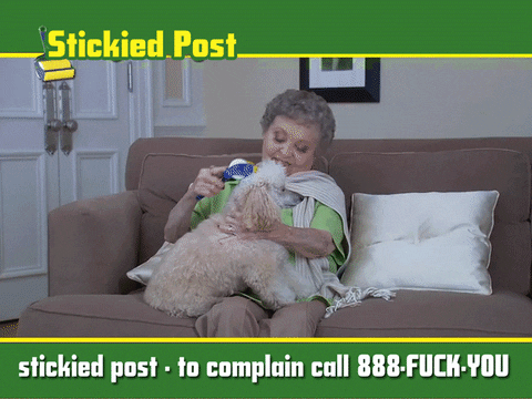 giphy.gif