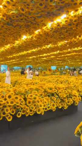 ForeverSunny1820.gif