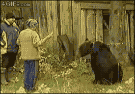 tumblr_met0y5cjBN1qdlh1io1_400.gif