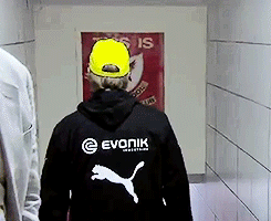 tumblr_na3kkoX8LL1tdefgvo4_250.gif
