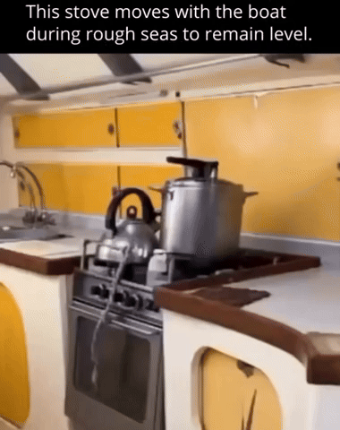 DogDays8488.gif