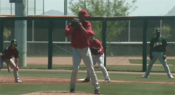 Pickoff-nut-shot.gif