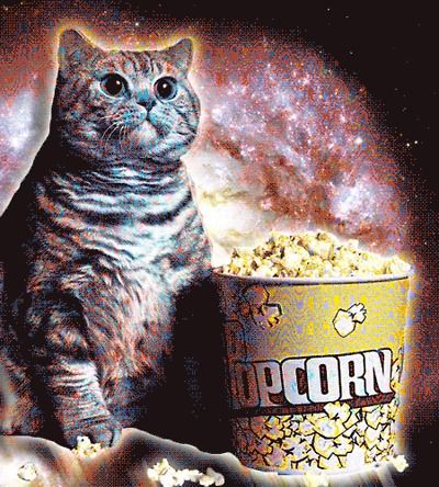 cat-with-popcorn.jpg