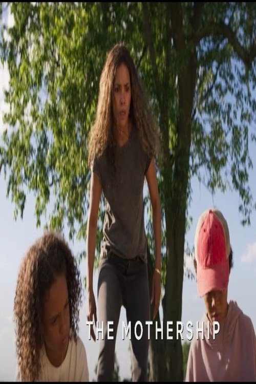 www.themoviedb.org