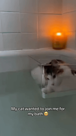 OleGlory0358.gif