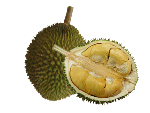 durian-fruit-opened-300.png