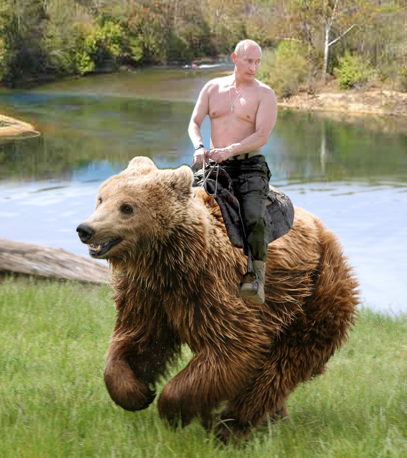 putin-bear-2.jpg