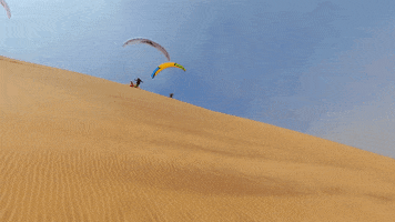 desert sliding GIF by Red Bull