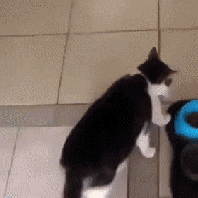 She-Brought-Friend-For-Dinner.gif
