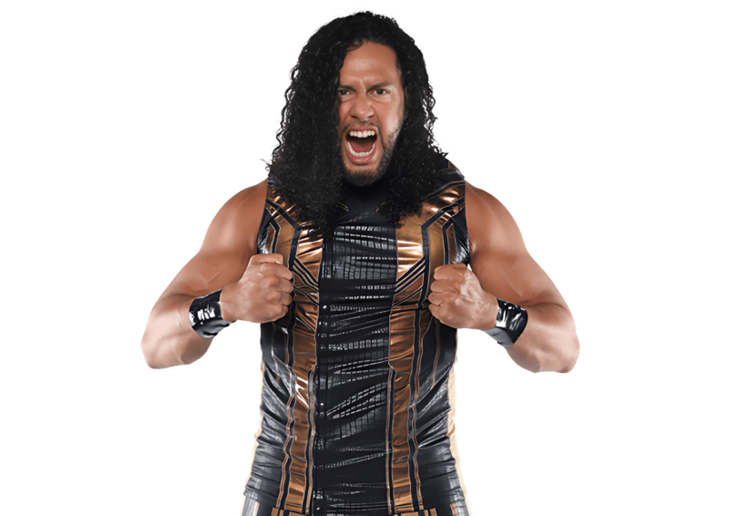 www.thesmackdownhotel.com