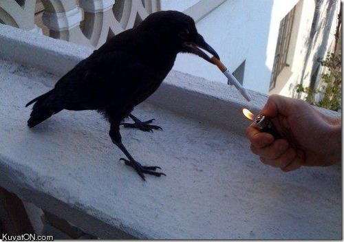 tumblr_ln6g4aLxHx1qzmowao1_500.jpg