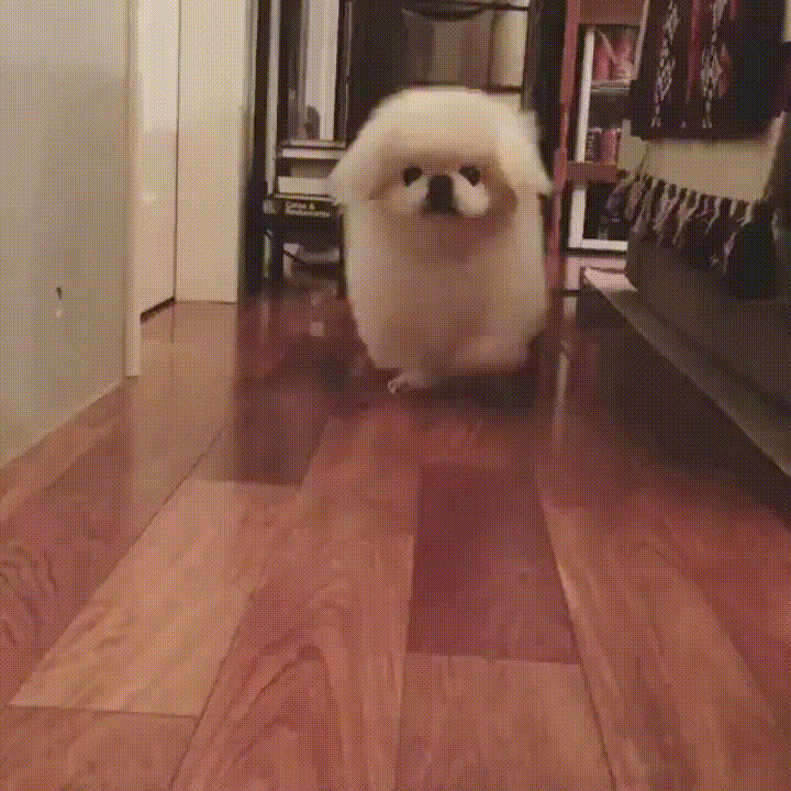 blhfw2hwphey.gif