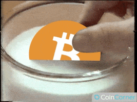 Bitcoin Crypto GIF by CoinCorner