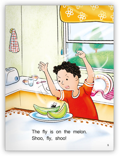 shoo-fly-shoo-2_475x700.jpg