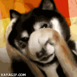 aeccd247f9f42dbb934a7bbdea5c5252ff7ad3c2_hq.gif