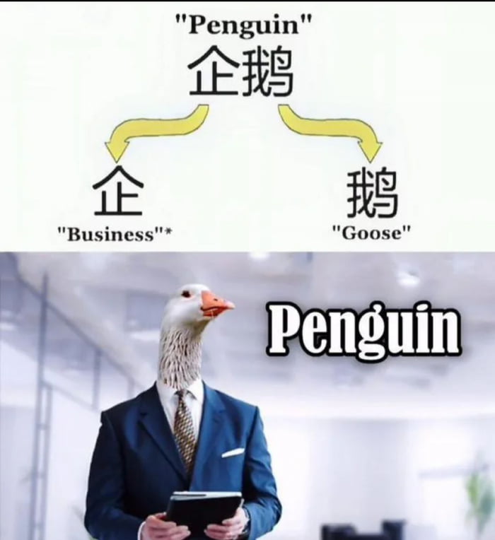 avzVLDO_700b.jpg