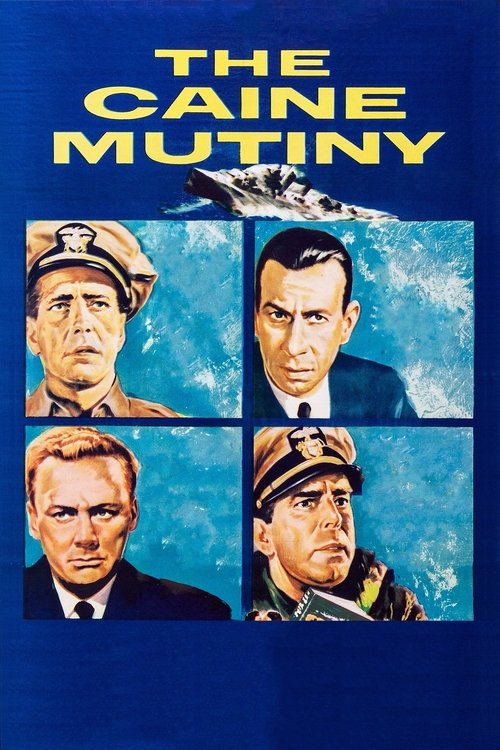 www.themoviedb.org