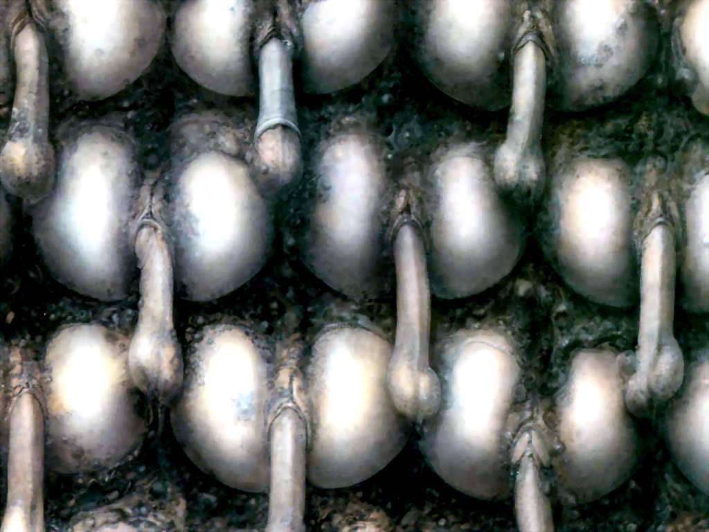 hr_giger_csg0481.jpg