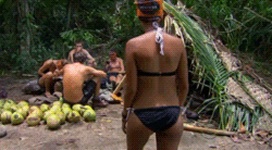tumblr_n2qccvoHhP1snrq1ro6_250.gif