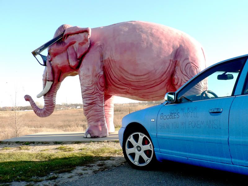 elephant.jpg