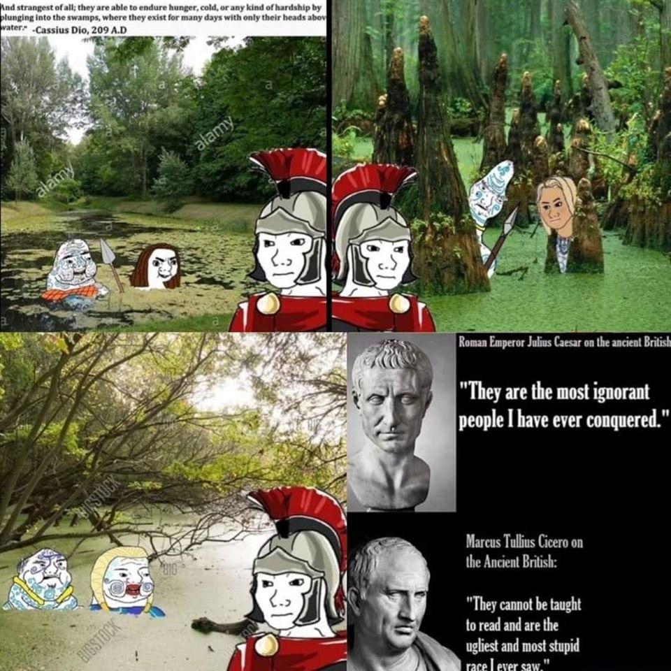 l3lshojhzkn81.jpg